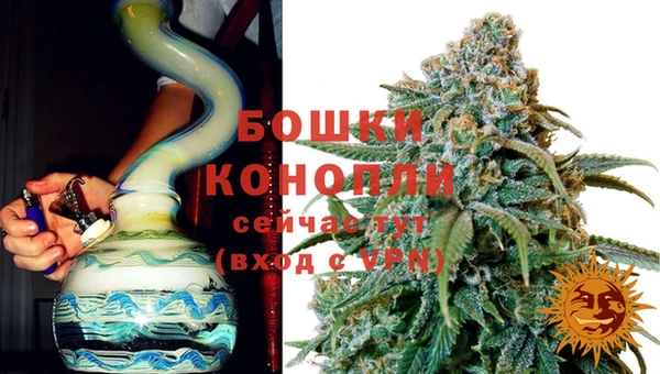 стафф Няндома
