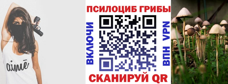 Псилоцибиновые грибы Cubensis  Купить где  Карасук 